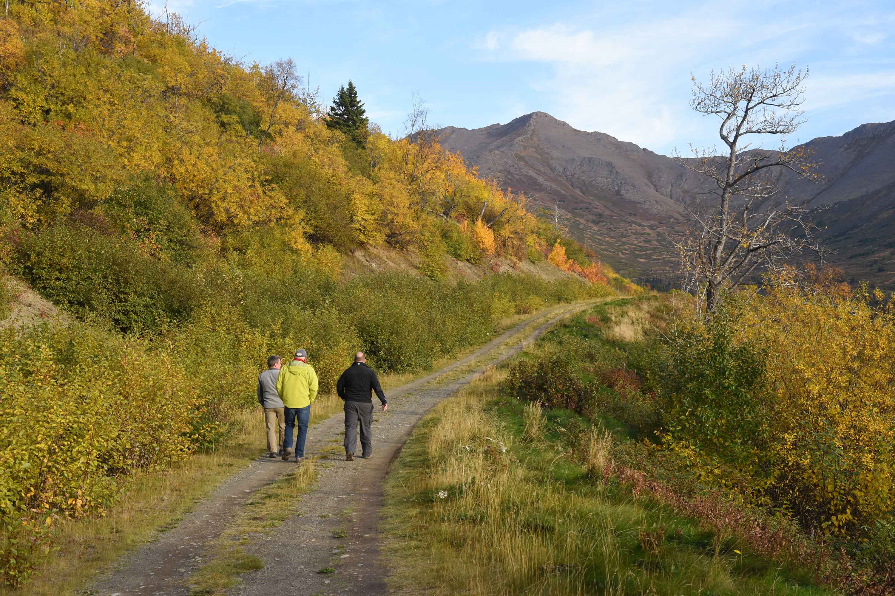 Hiking the Stewart Trail