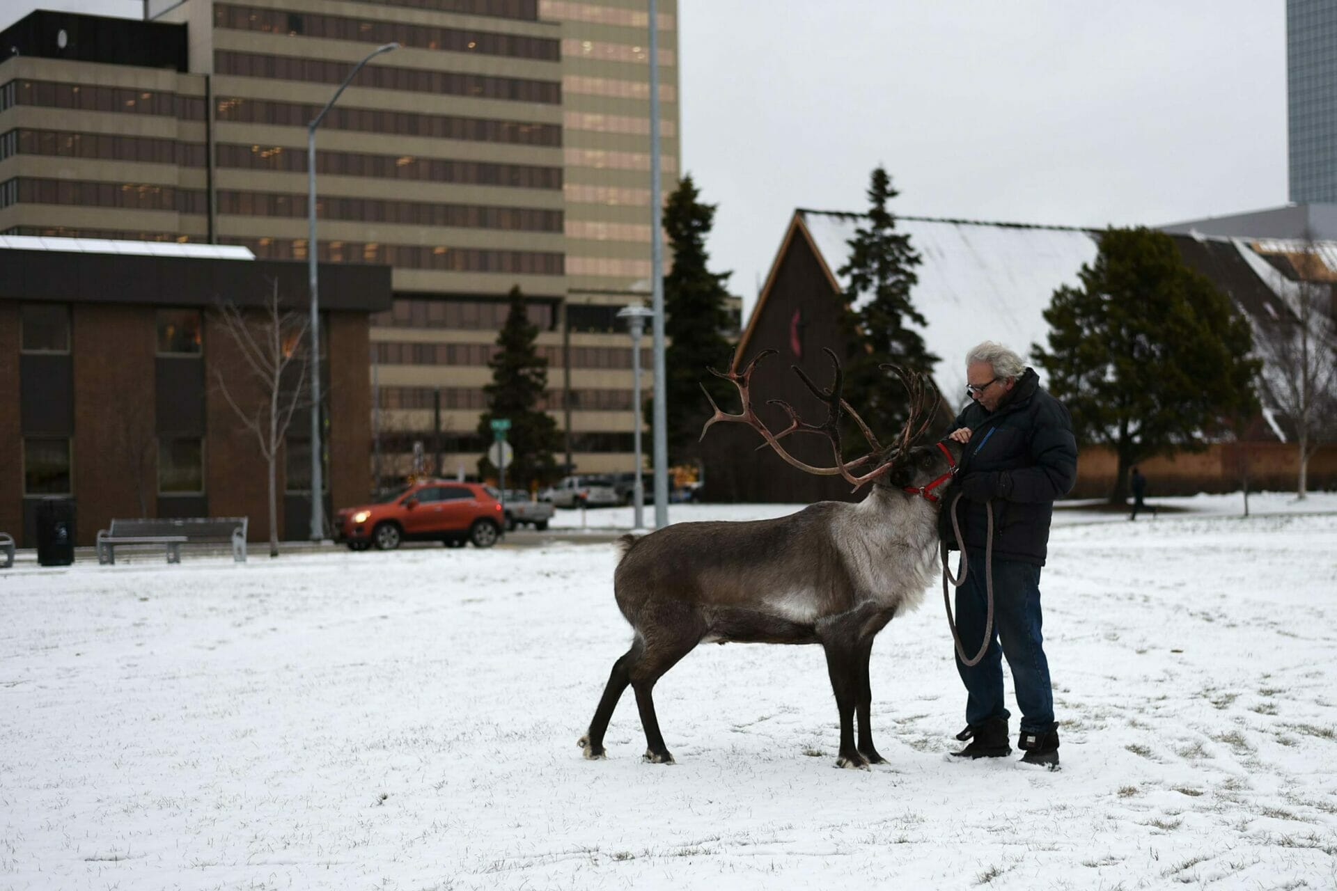 Albert Whitehead and Star the Reindeer