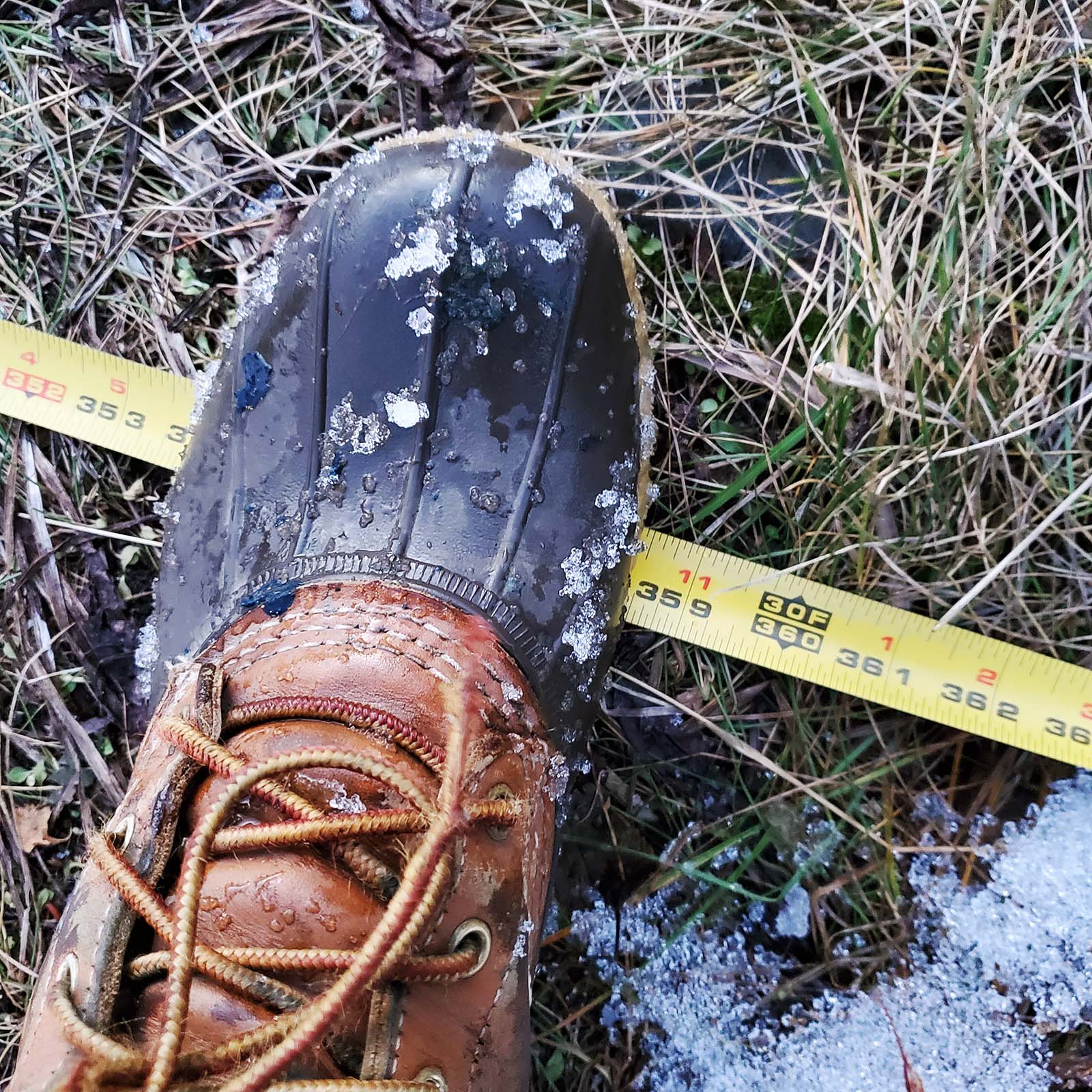 Photo of road width near Honey Bear parking lot in Chugach State Park